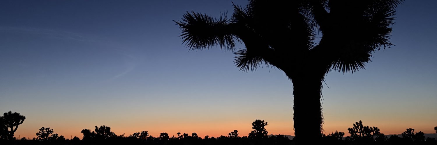 its_desireeA's profile banner image