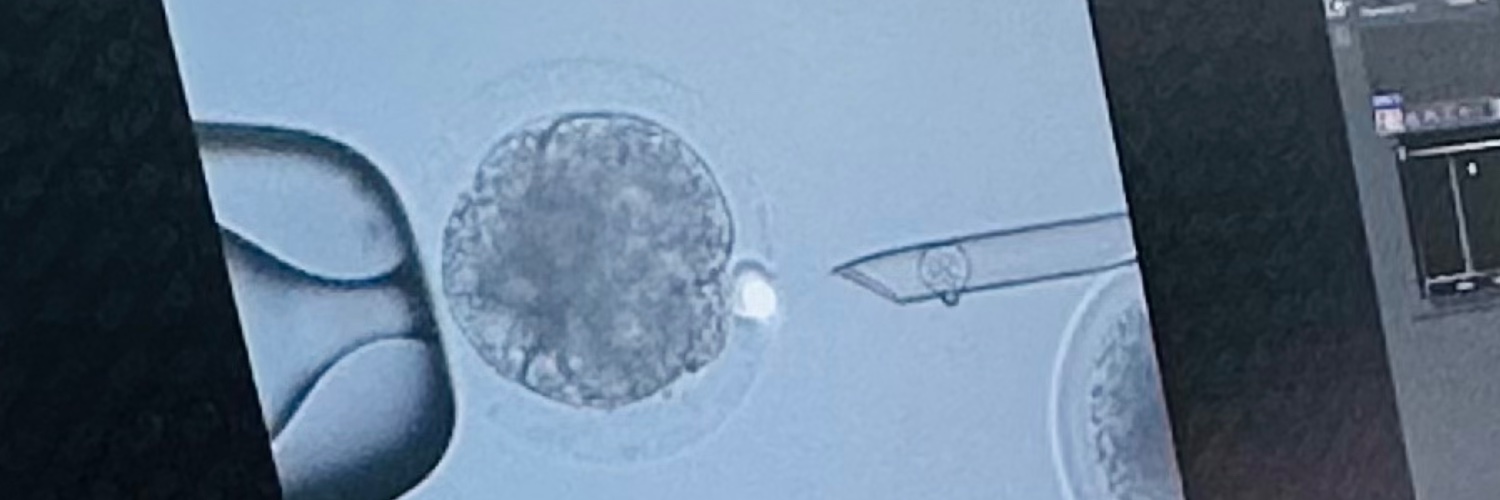 Michael Dougherty banner