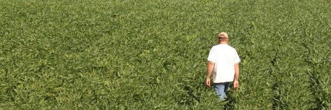 GoldKey Farms banner