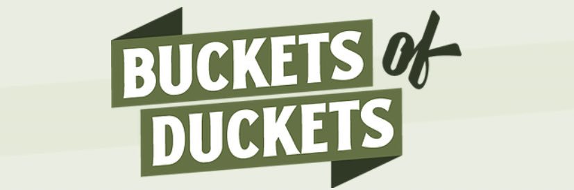 BucketsoDuckets's profile banner image