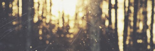 abdullah_alg's profile banner image