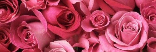 LuvquoteLove's profile banner image