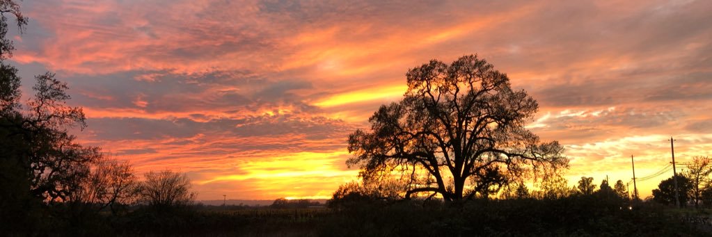 Kami Thordarson banner