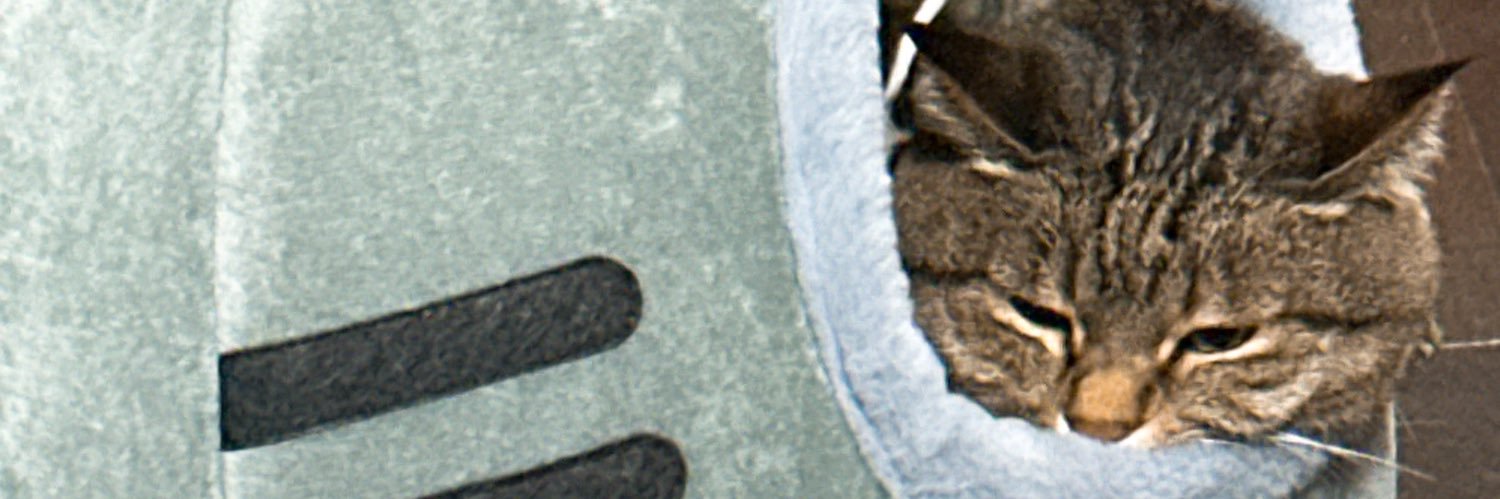 atarukun2's profile banner image