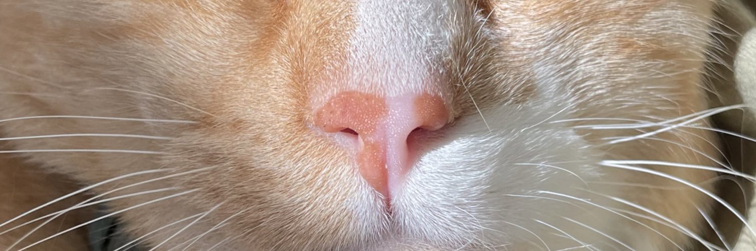 chelsnf's profile banner image