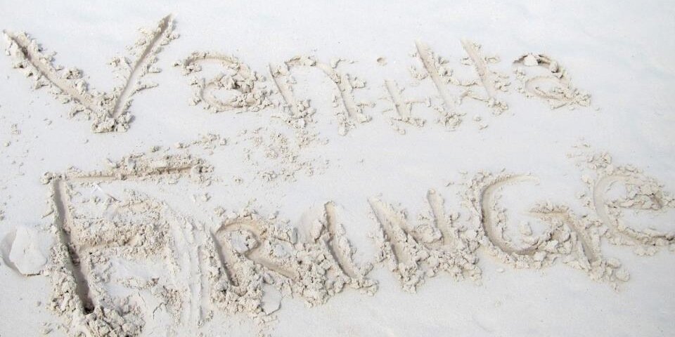 VanillaFringe's profile banner image