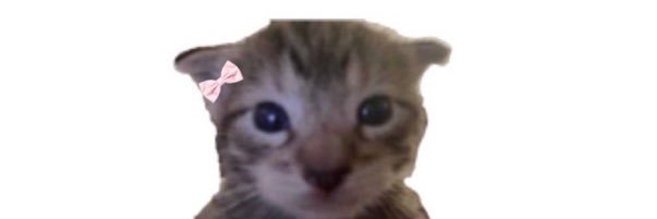 Evaaort_'s profile banner image