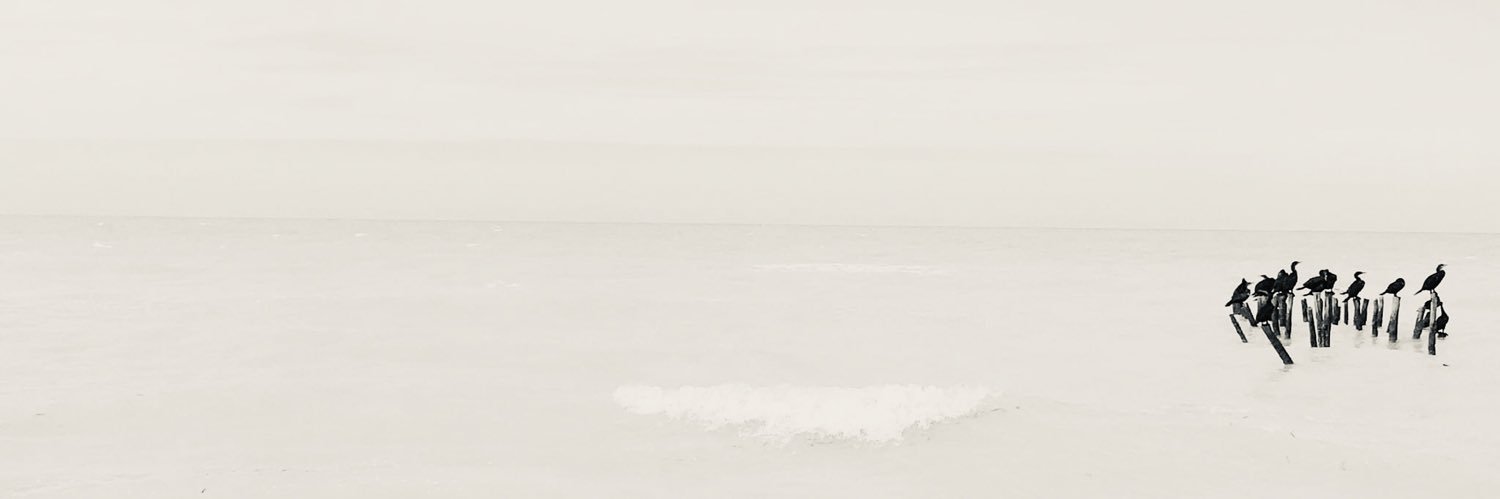 YuzPolanco's profile banner image