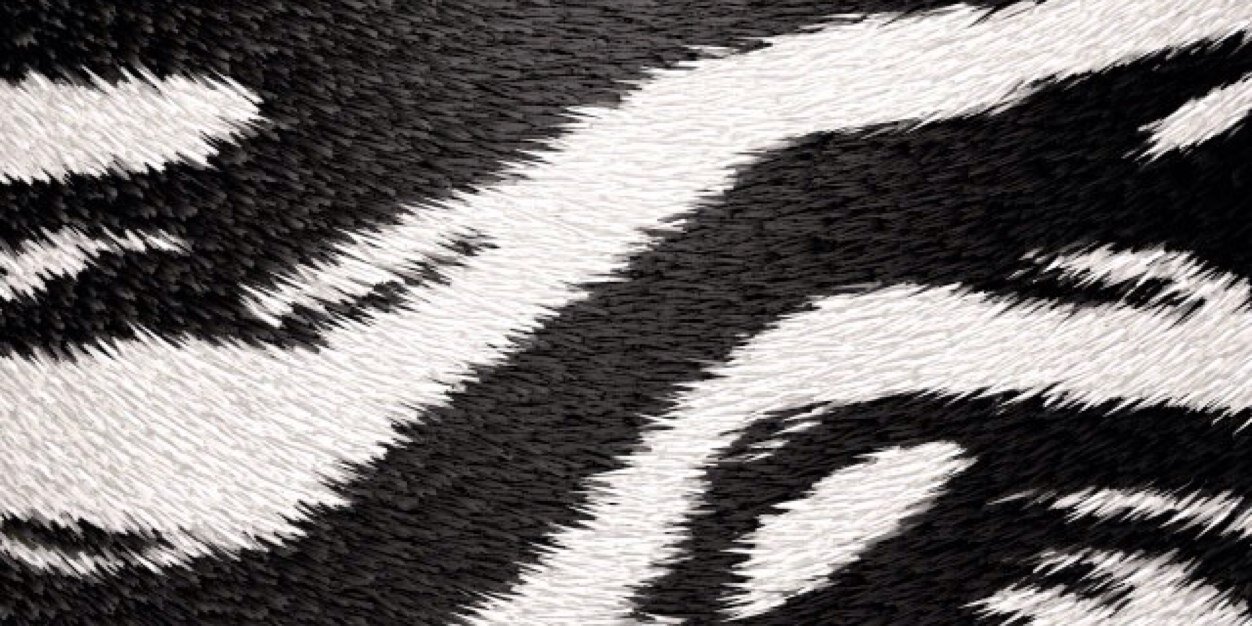 Parafenatel's profile banner image