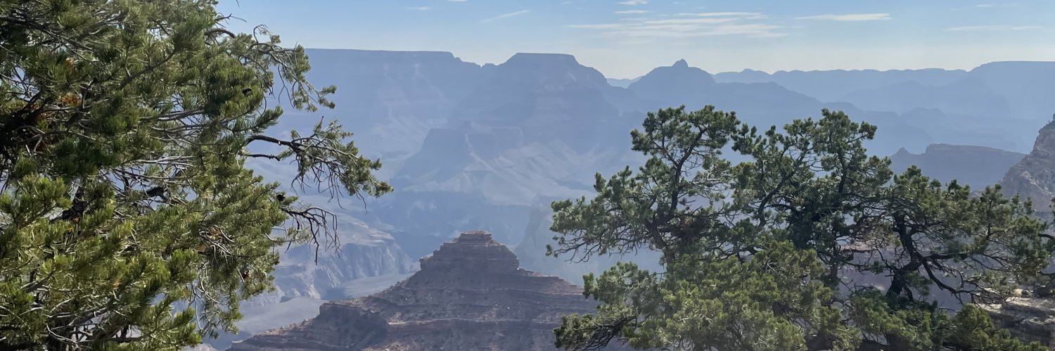 MicaleenRodgers's profile banner image