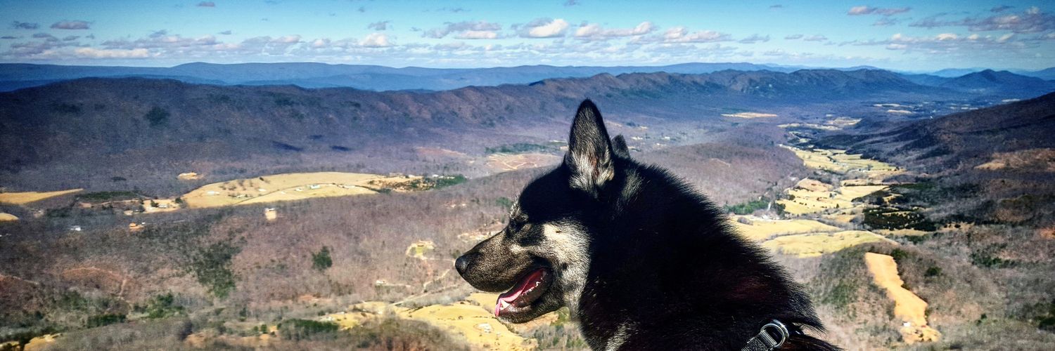 yoRYBO's profile banner image