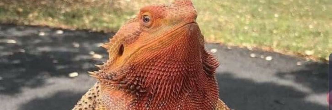 John_Henn_'s profile banner image