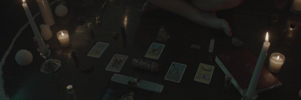 lookingforferns Profile Banner