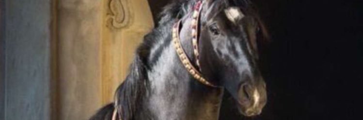 FRIENDREEM's profile banner image