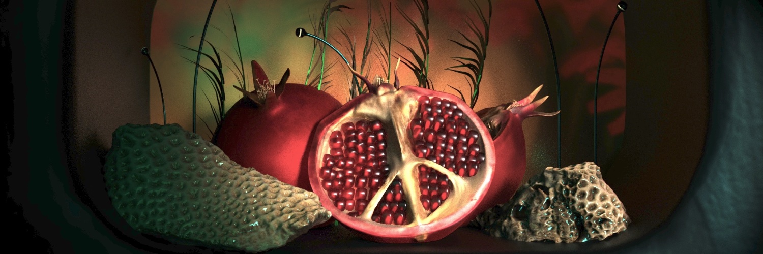 sgruffat's profile banner image