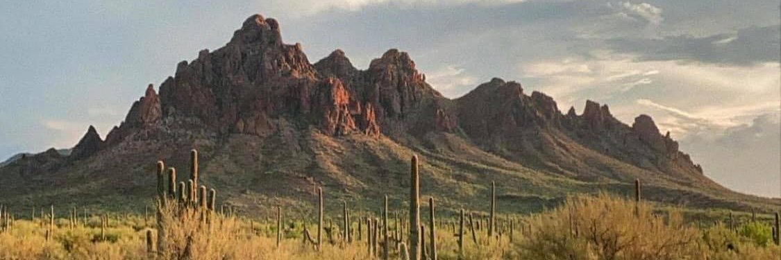 David Martinez III's banner