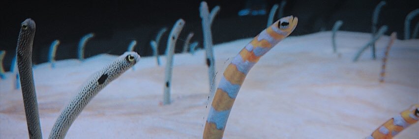 er_x_ya's profile banner image