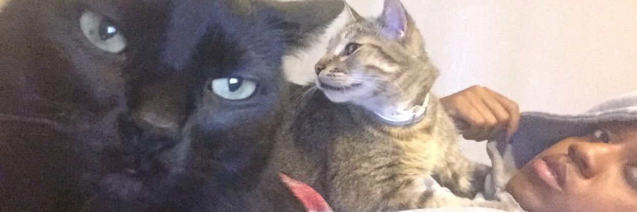 ZamoraCooper's profile banner image