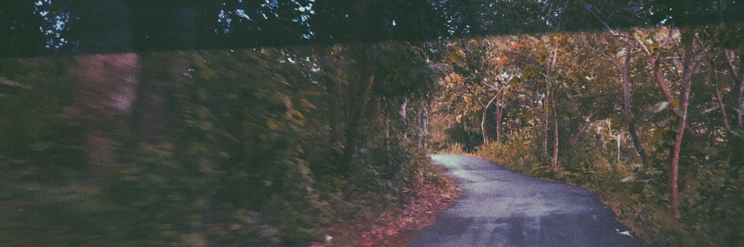 tarmandaadit's profile banner image