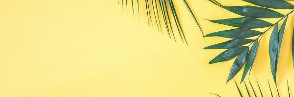 shallolin's profile banner image