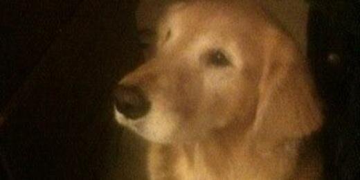 LennyGeorgeSED's profile banner image