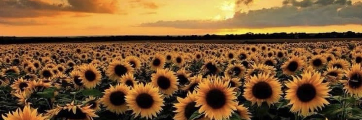 SheilaWeaver11's profile banner image