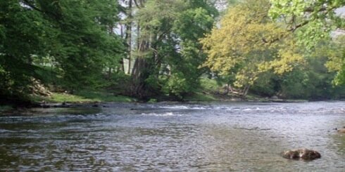 macneil_neil's profile banner image