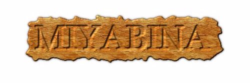 MIYABINAJAPAN's profile banner image