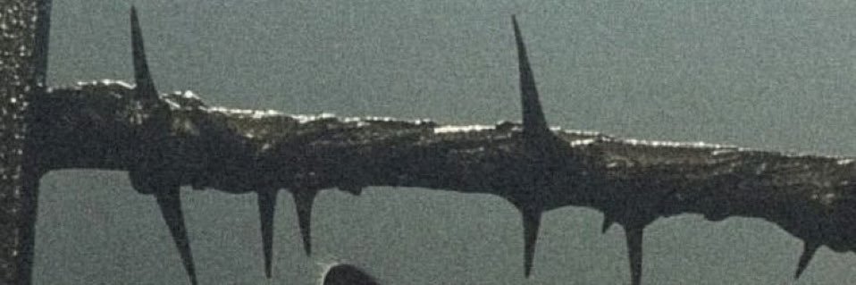 ɴᴇᴏᴍᴀ banner