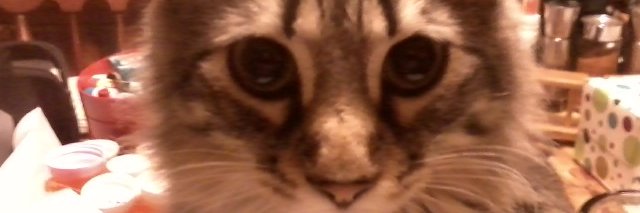 JoeLuca5's profile banner image