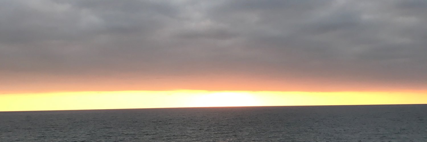 trishpalermo's profile banner image