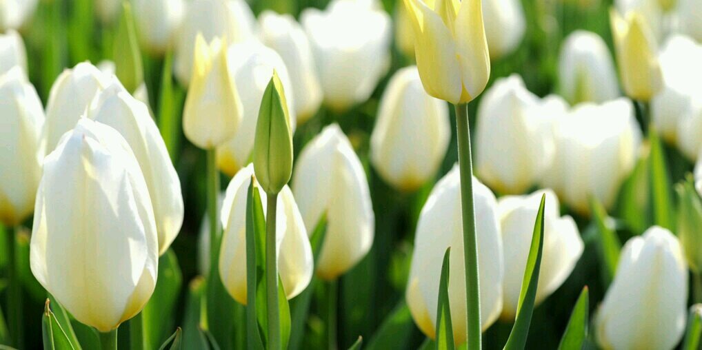 Estefania00978's profile banner image