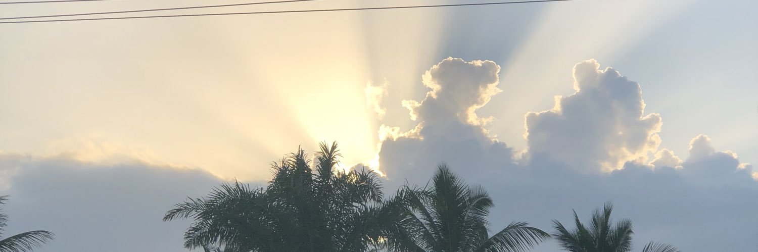 WlkrRanger's profile banner image