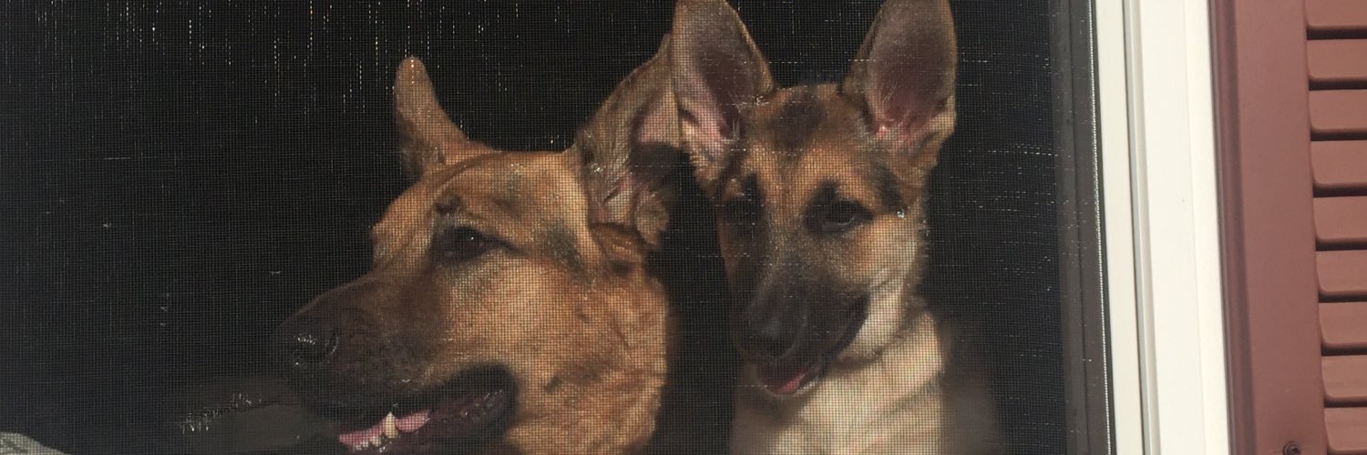 ThatMoakeyKid12's profile banner image