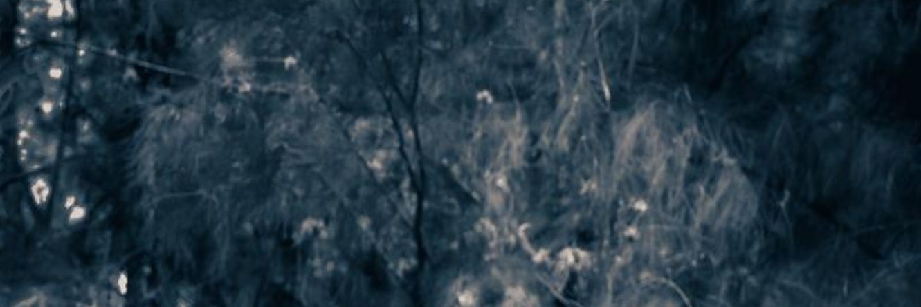 MoonL0ver9's profile banner image