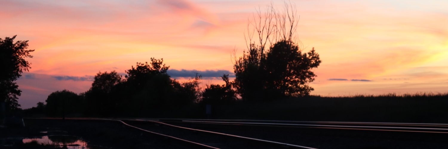 MarissaFaletti's profile banner image
