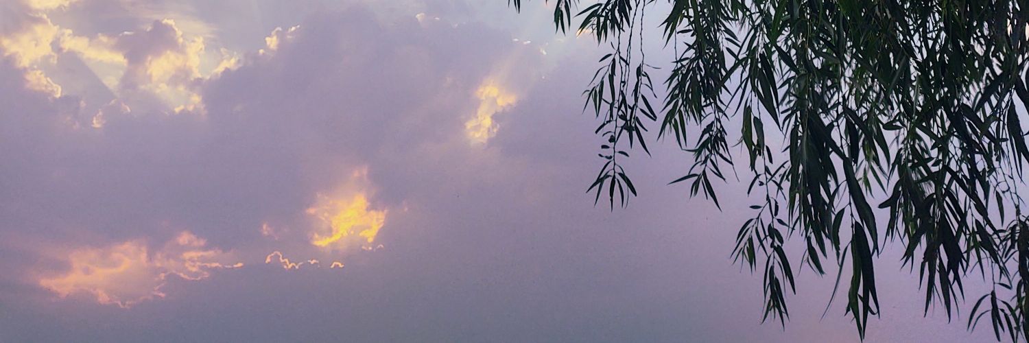 dal_sat's profile banner image