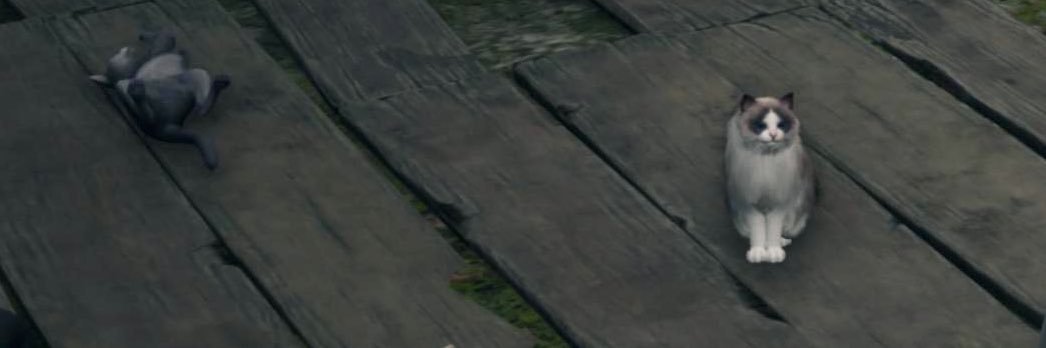 K_rotary's profile banner image