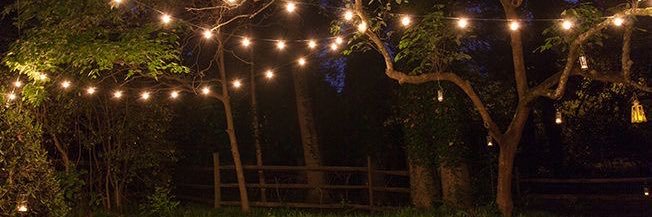 daniela_gp_'s profile banner image