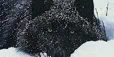 AlexWBP's profile banner image