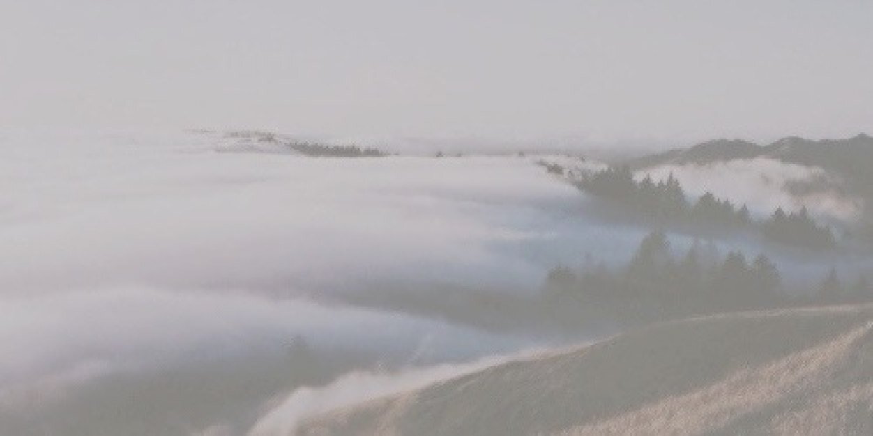lousmut's profile banner image