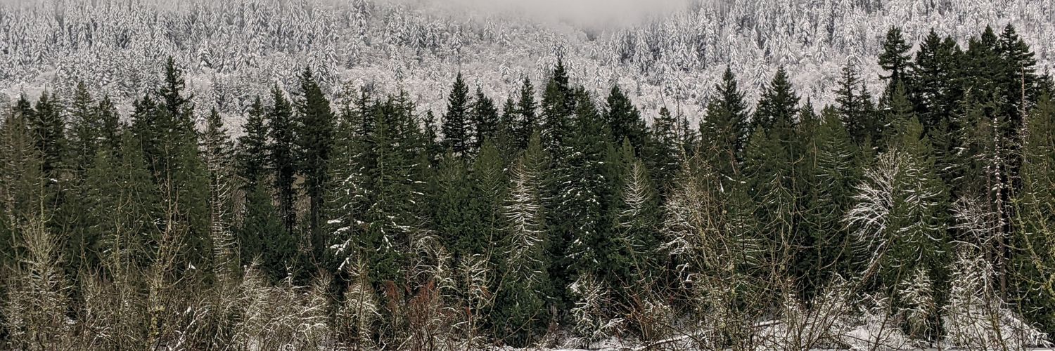 Utahfeminist's profile banner image