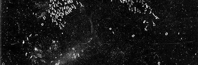 notadancingbear's profile banner image
