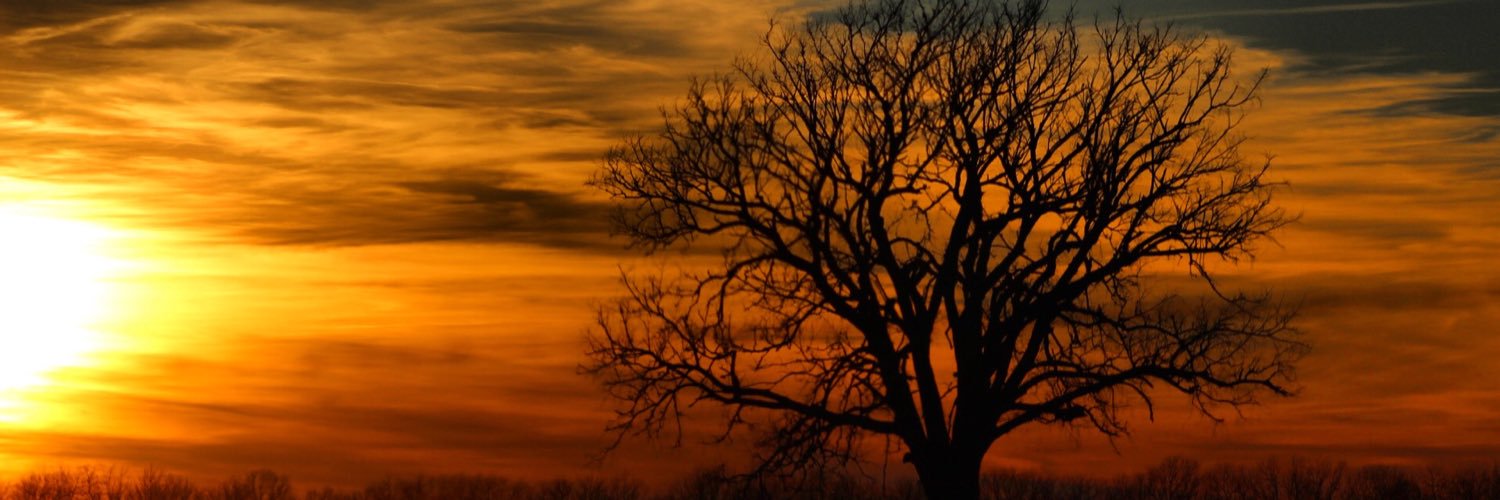 ehoeven15's profile banner image