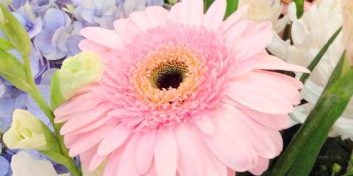 orinborrin's profile banner image