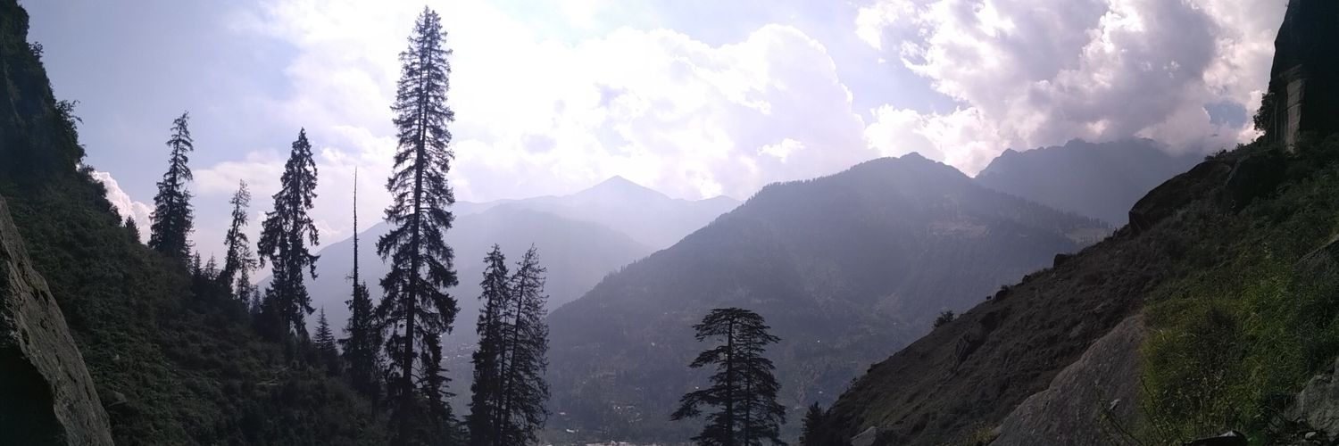 StllrLveee's profile banner image