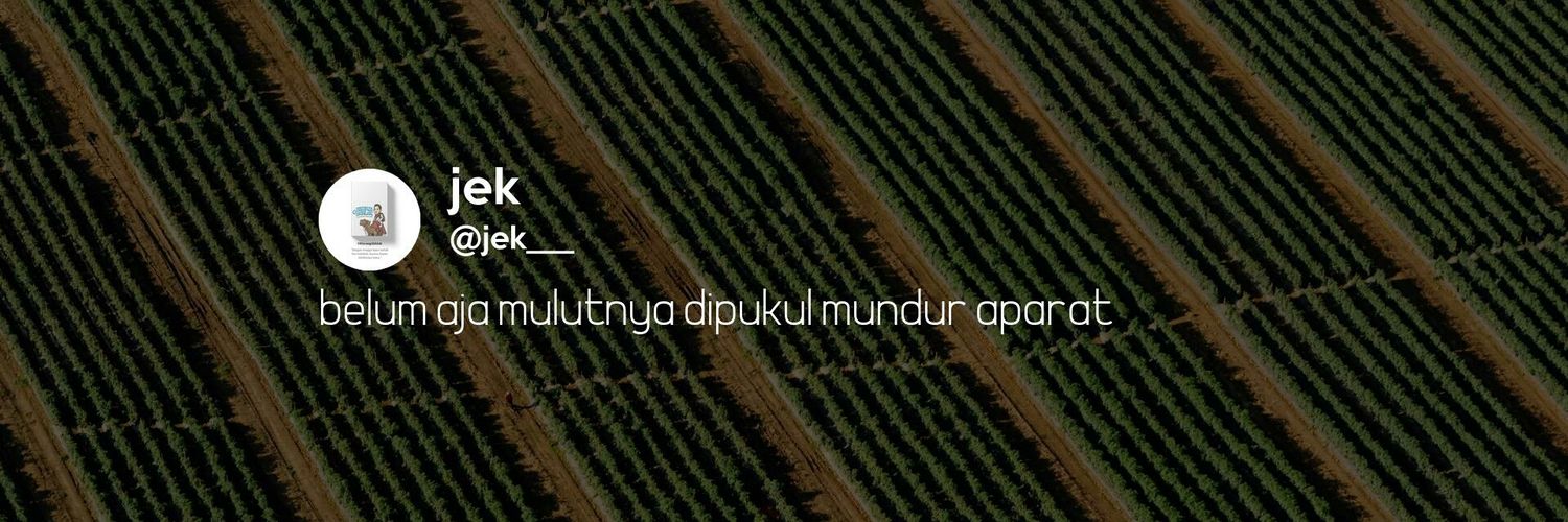 ay_afr's profile banner image