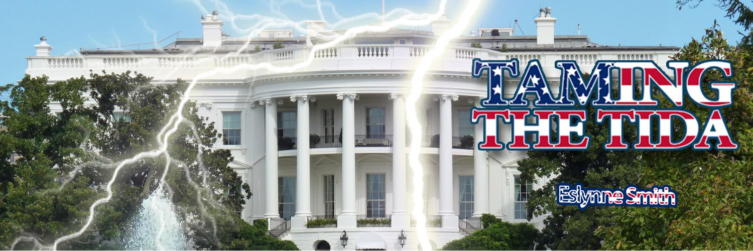 TamingTheTida's profile banner image