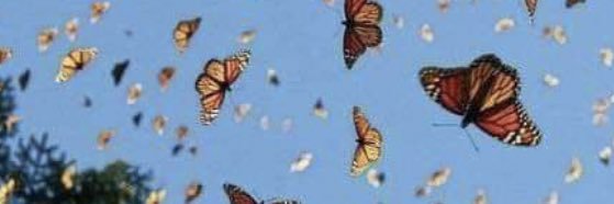 0L1V3_'s profile banner image
