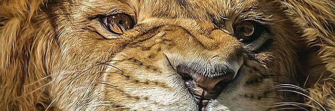 Thabangcee's profile banner image